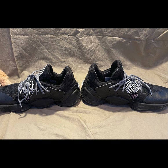 Harden 4 - Picture 4 of 6